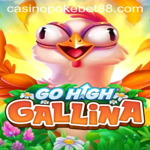 GoHighGallina: An Exciting New Venture in Online Gaming